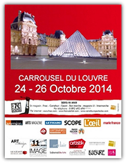 Carrousel Louvre 2014